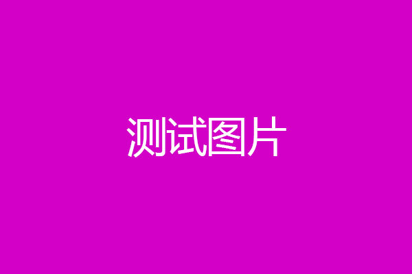 测试项目