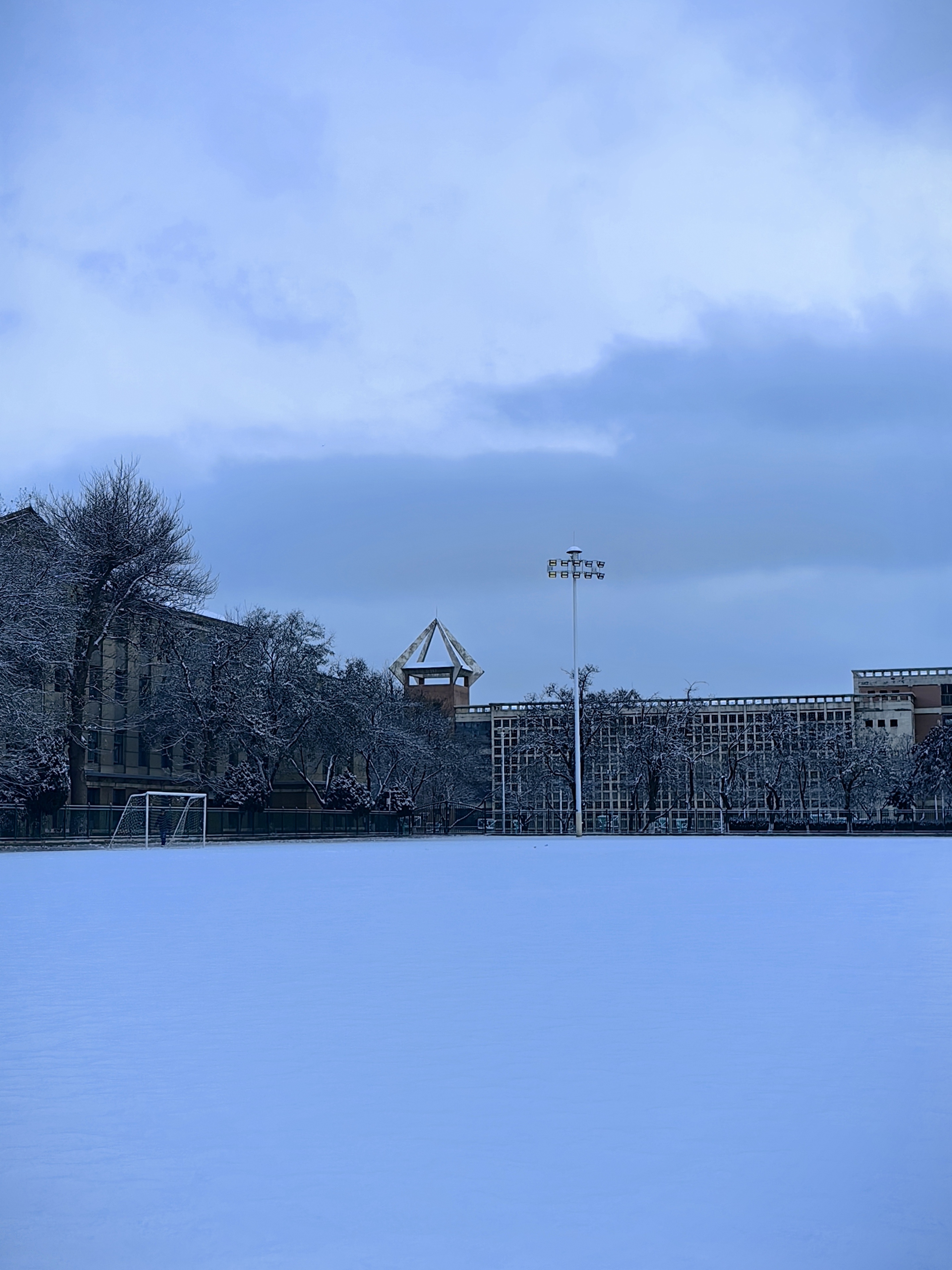 镜头里的冬韵，冬季摄影大赛